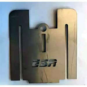 ESR13a
