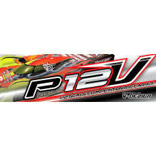P12V-228x228