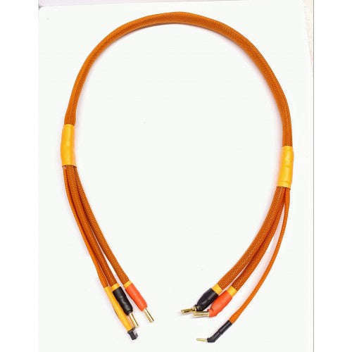 Donathan RC Charge leads