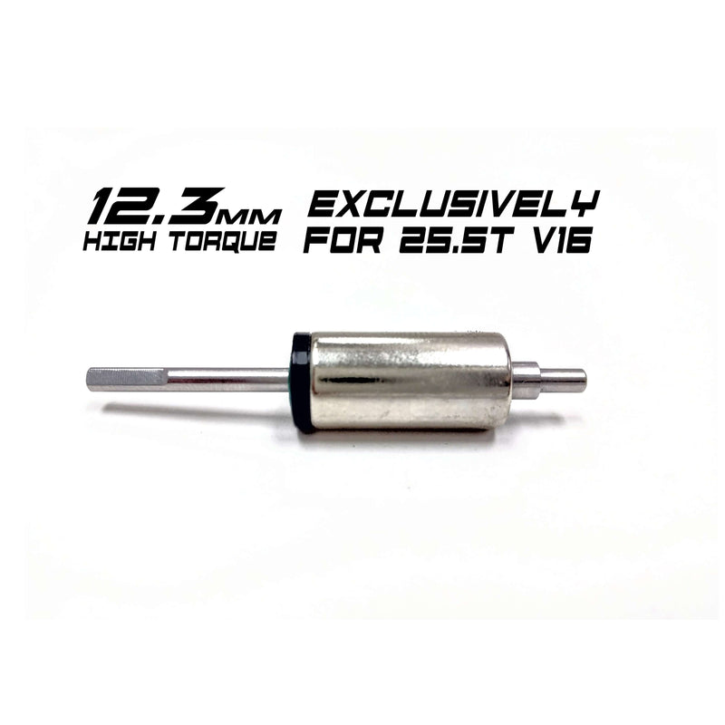 R1 12.3 Hi Torque Rotor