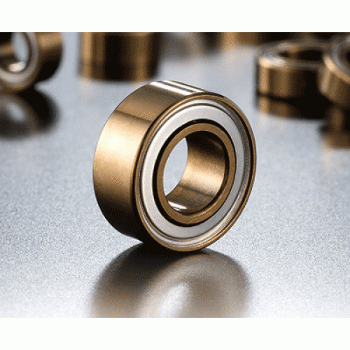 AXON X10 Bearings